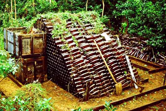 Huge pile of beer bottles in jungle